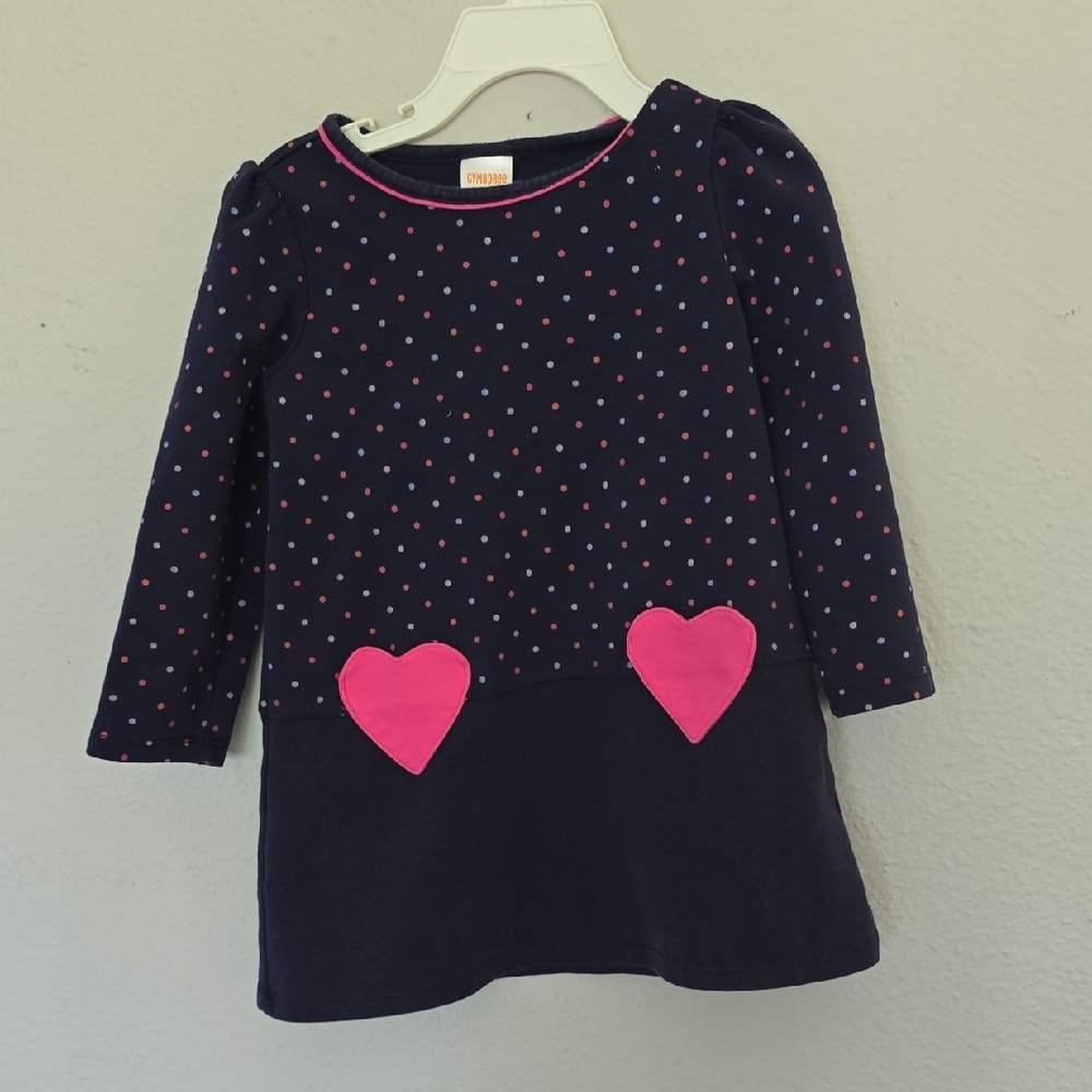 GYMBOREE Blue and Pink Long Sleeve DRESS